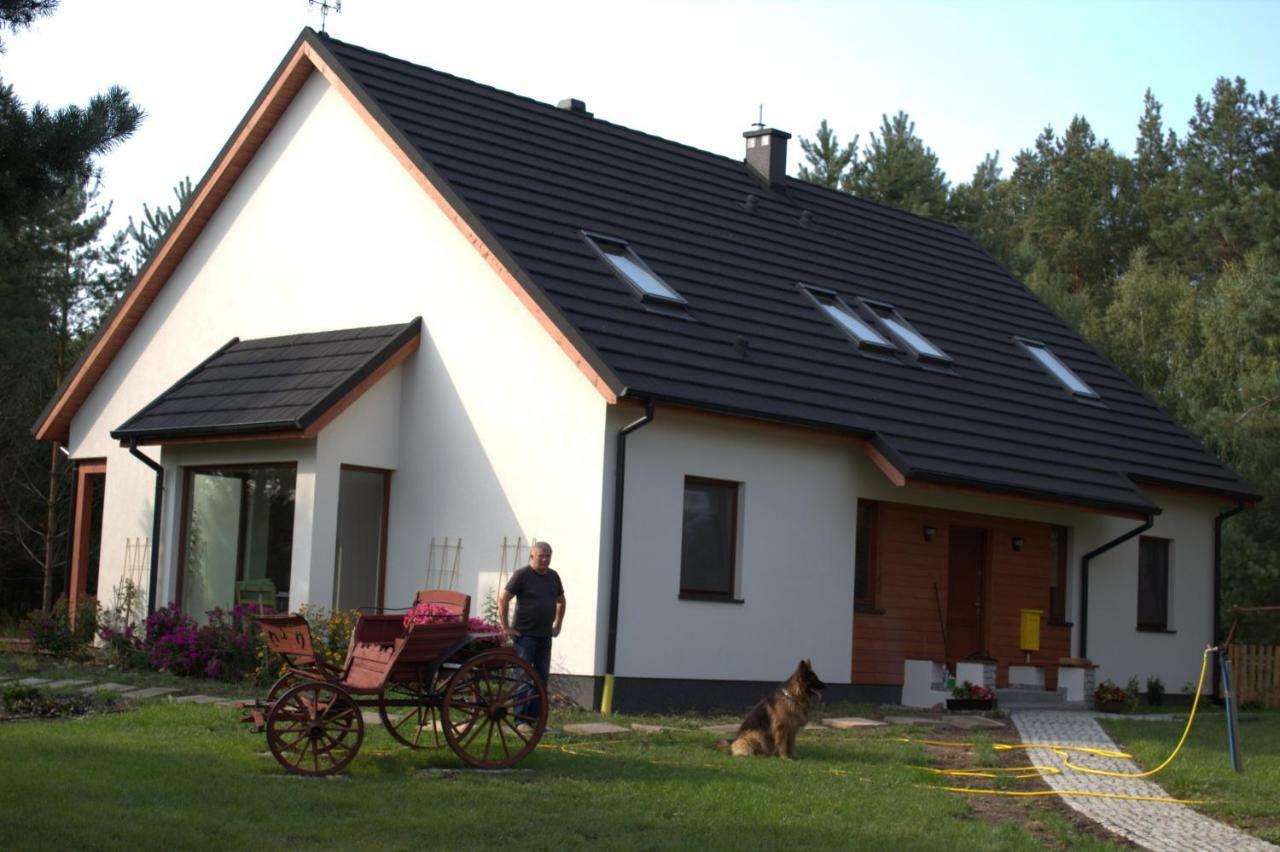 Koci Grzbiet Agroturystyka Dzierzazno Wielkie Екстериор снимка